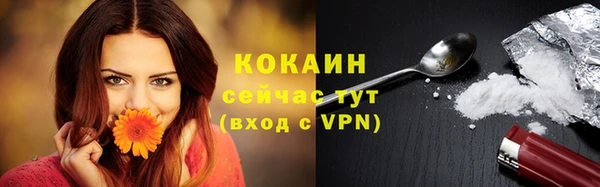 прущий лед Алексин