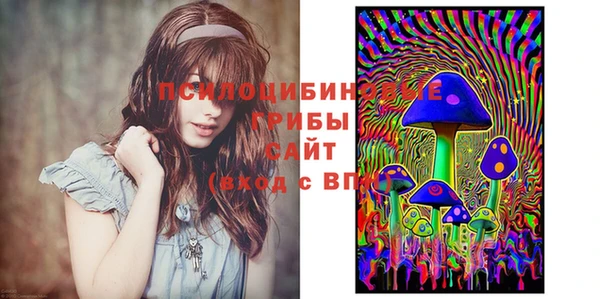 Альфа ПВП Алзамай