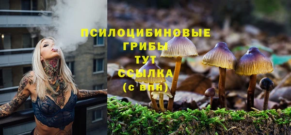 Альфа ПВП Алзамай