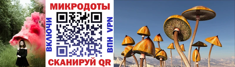 Галлюциногенные грибы GOLDEN TEACHER  купить  цена  Красноуральск 